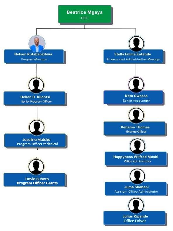 Org Structure